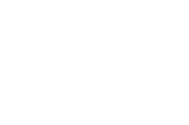 ION Mystery